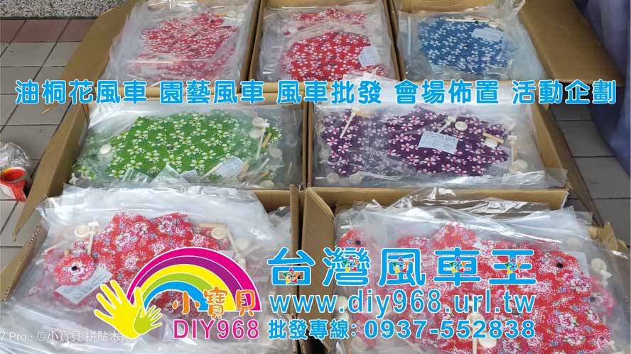 油桐花風車