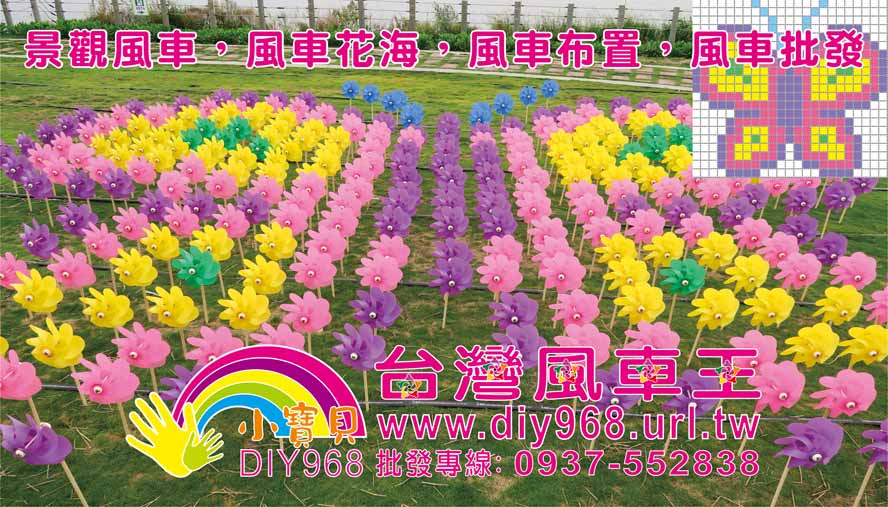 風車花